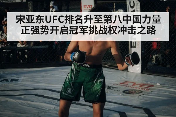 宋亚东UFC排名升至第八中国力量正强势开启冠军挑战权冲击之路